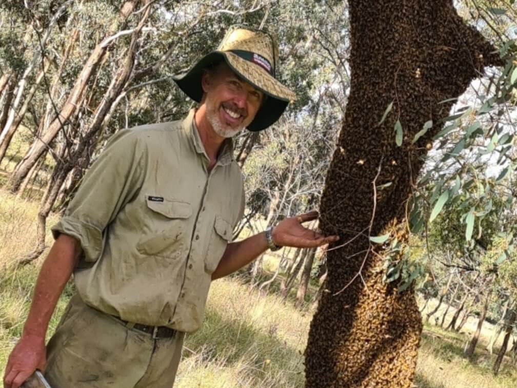australian bush honey